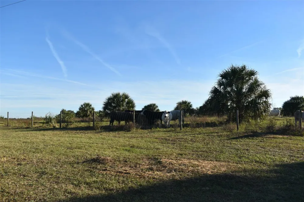 13800 COUNTY ROAD 450 Umatilla, FL 32784