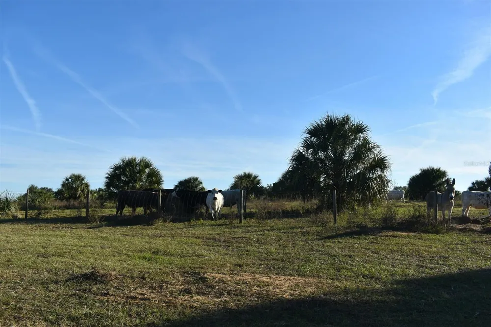 13800 COUNTY ROAD 450 Umatilla, FL 32784