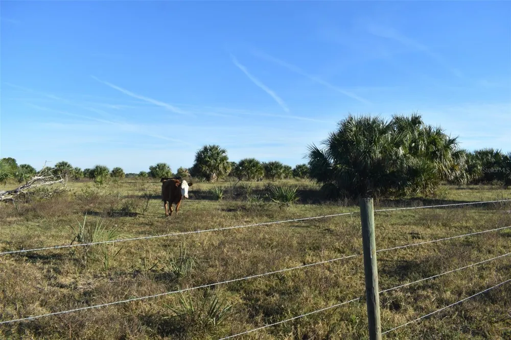 13800 COUNTY ROAD 450 Umatilla, FL 32784