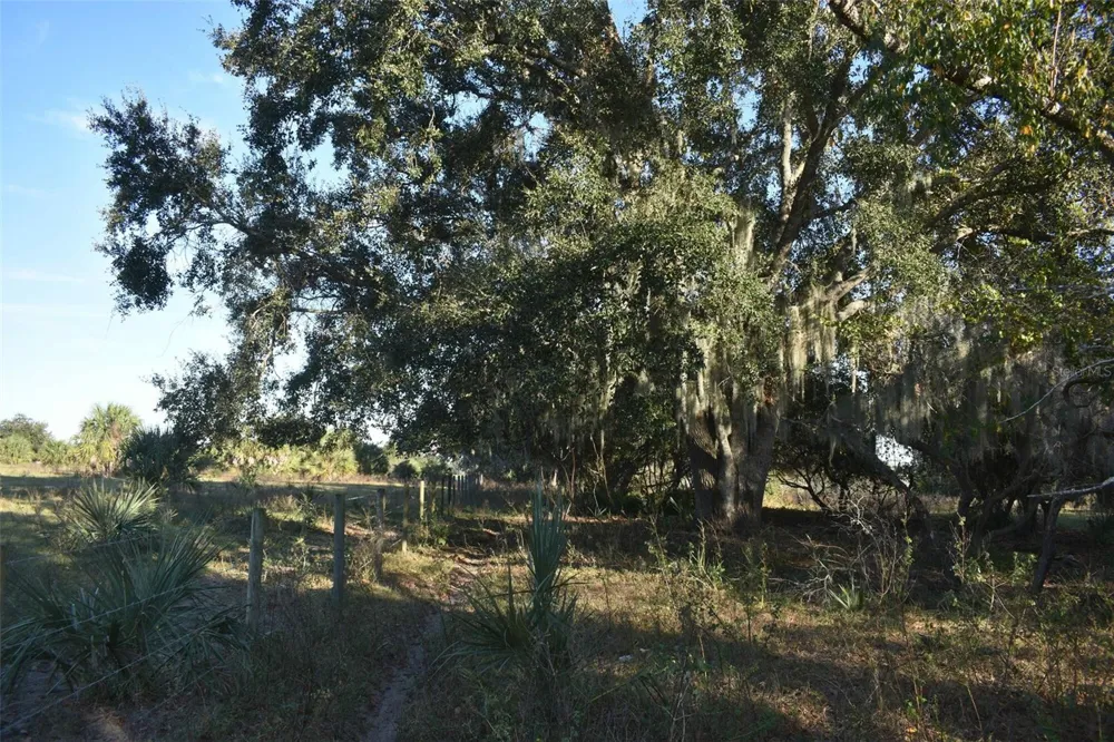 13800 COUNTY ROAD 450 Umatilla, FL 32784