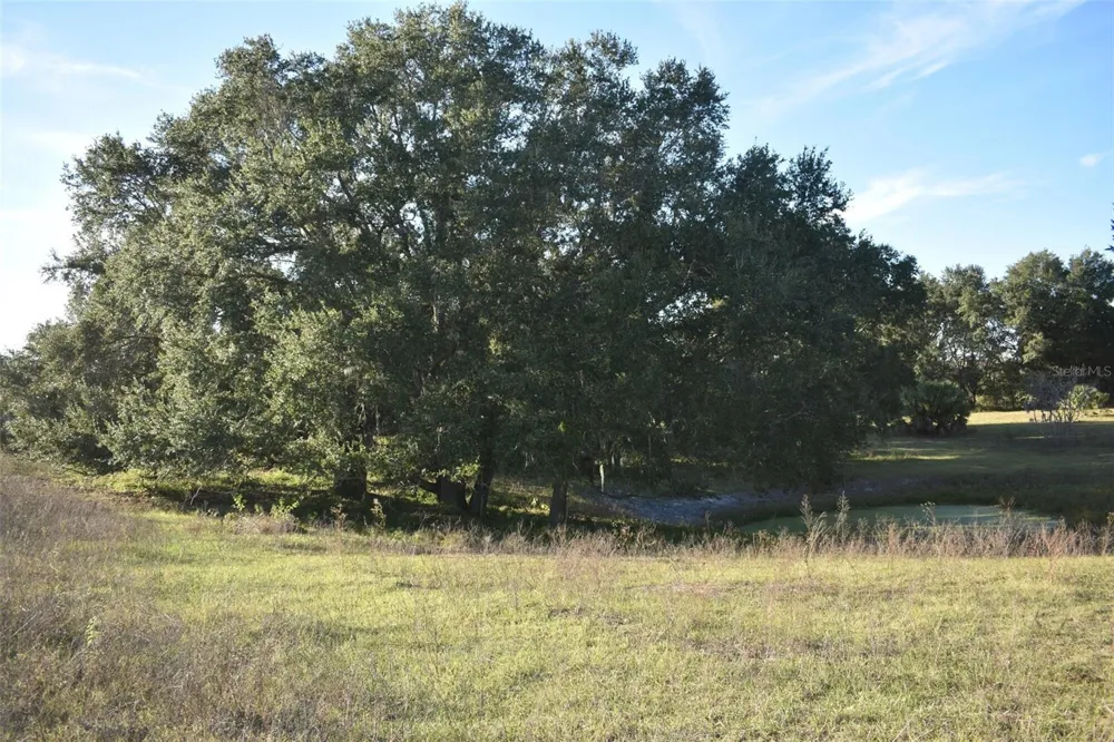 13800 COUNTY ROAD 450 Umatilla, FL 32784