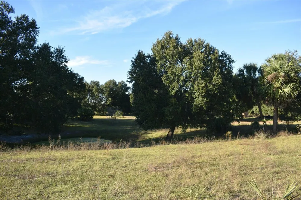 13800 COUNTY ROAD 450 Umatilla, FL 32784
