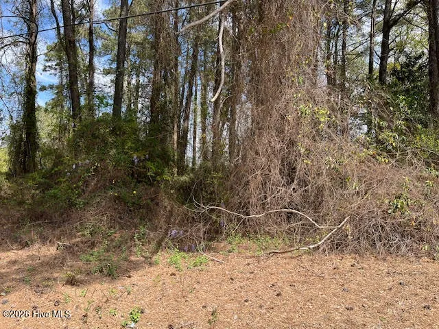 00 Penny Branch Road Warsaw, NC 28398