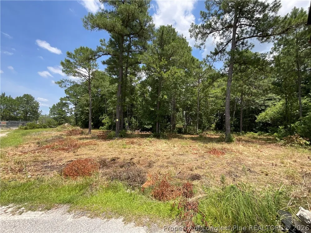 233 Clearview Court Sanford, NC 27332