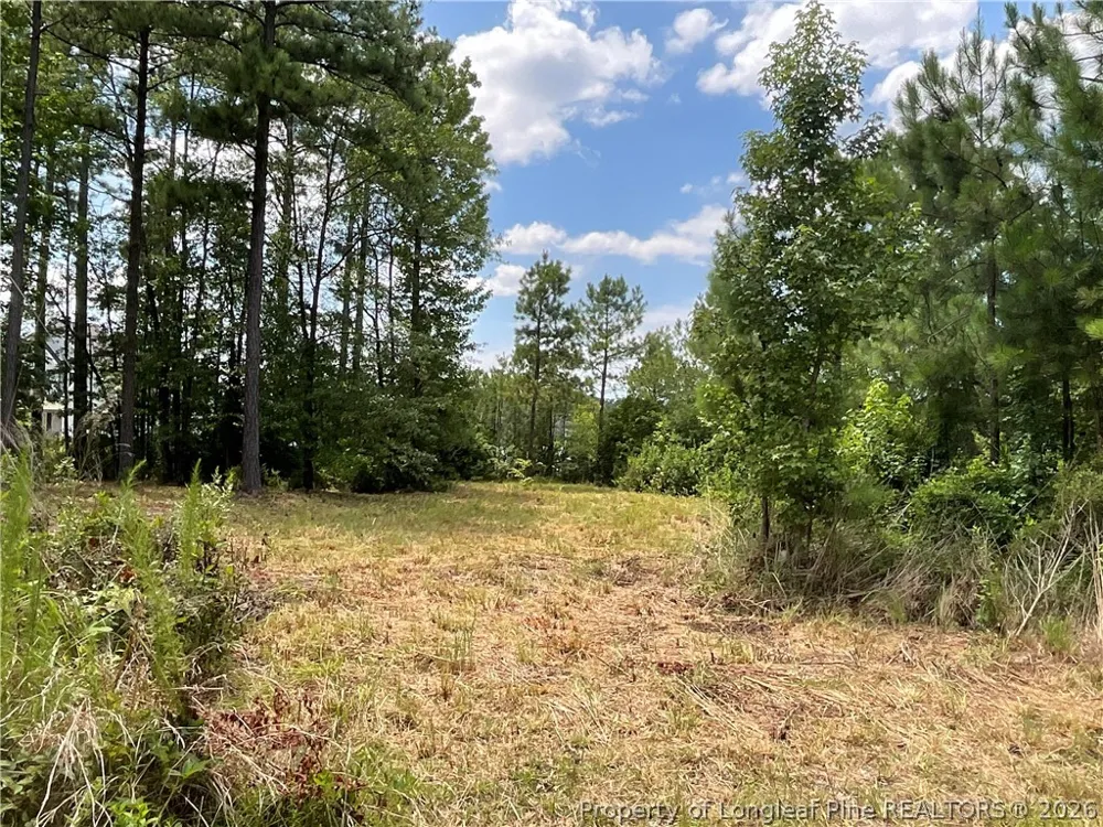 233 Clearview Court Sanford, NC 27332