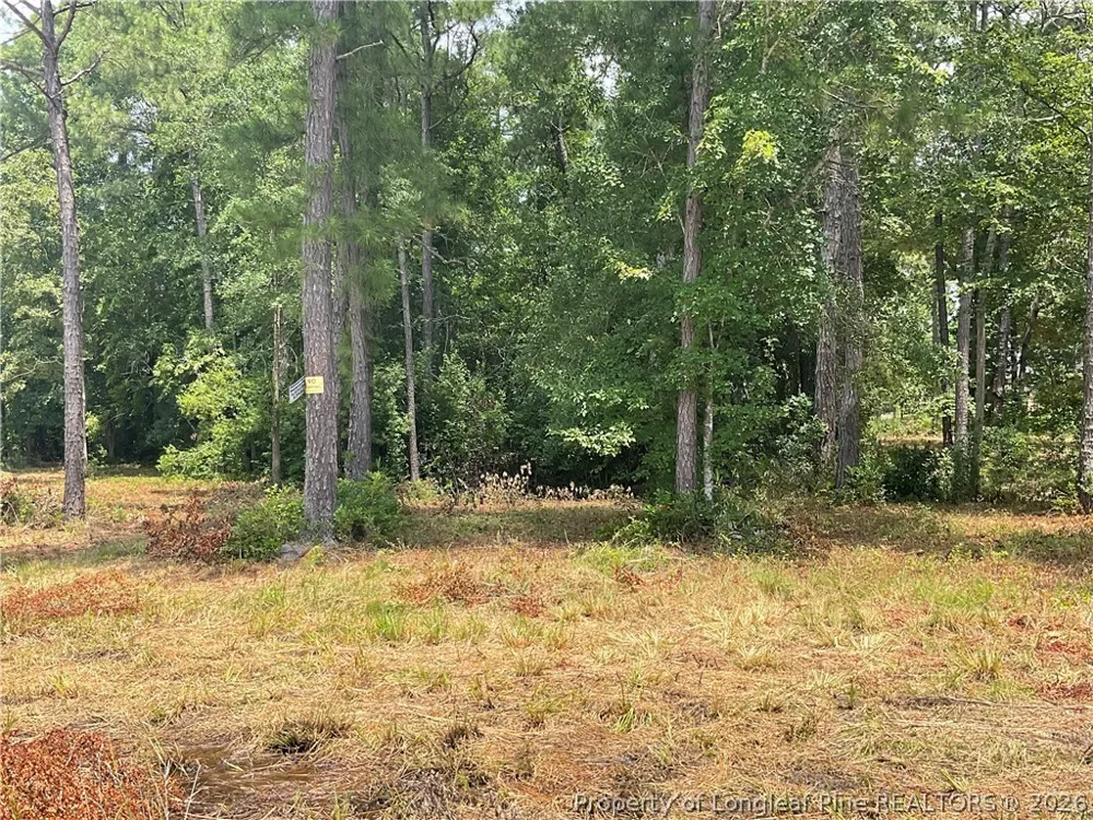 233 Clearview Court Sanford, NC 27332