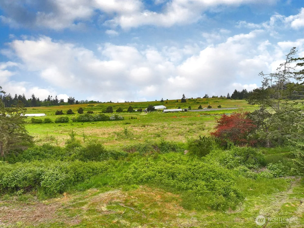 0 E Farmington Drive Greenbank, WA 98253