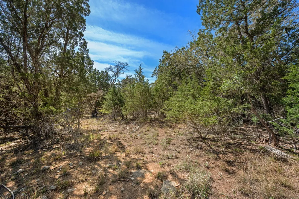 16400 Jackson Street Volente, TX 78641