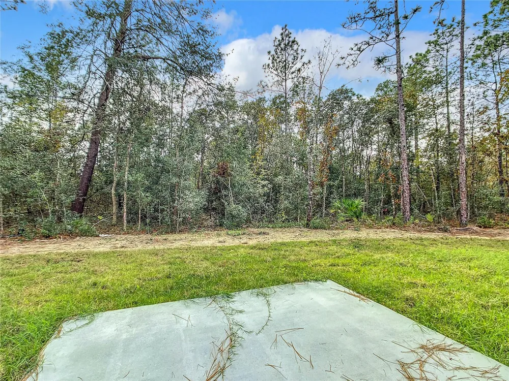 8070 SW 131ST LANE ocala, FL 34473
