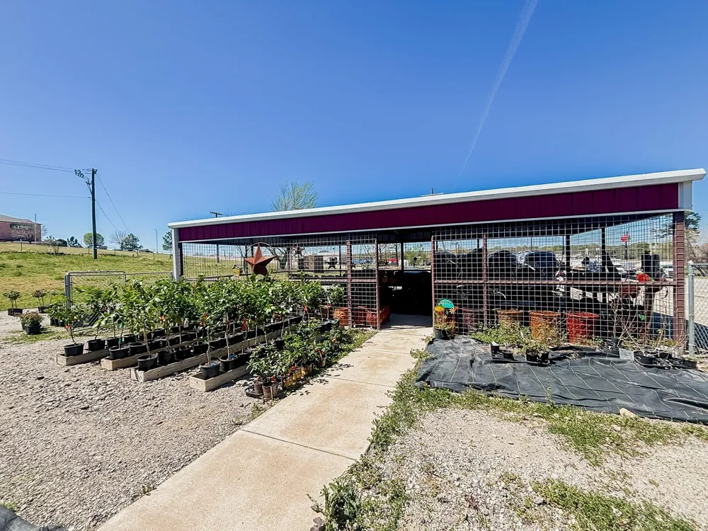 375 S Craigs Drive Buffalo, TX 75831