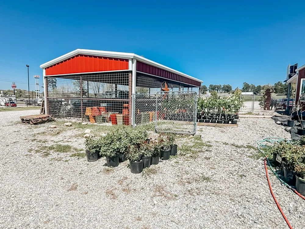 375 S Craigs Drive Buffalo, TX 75831