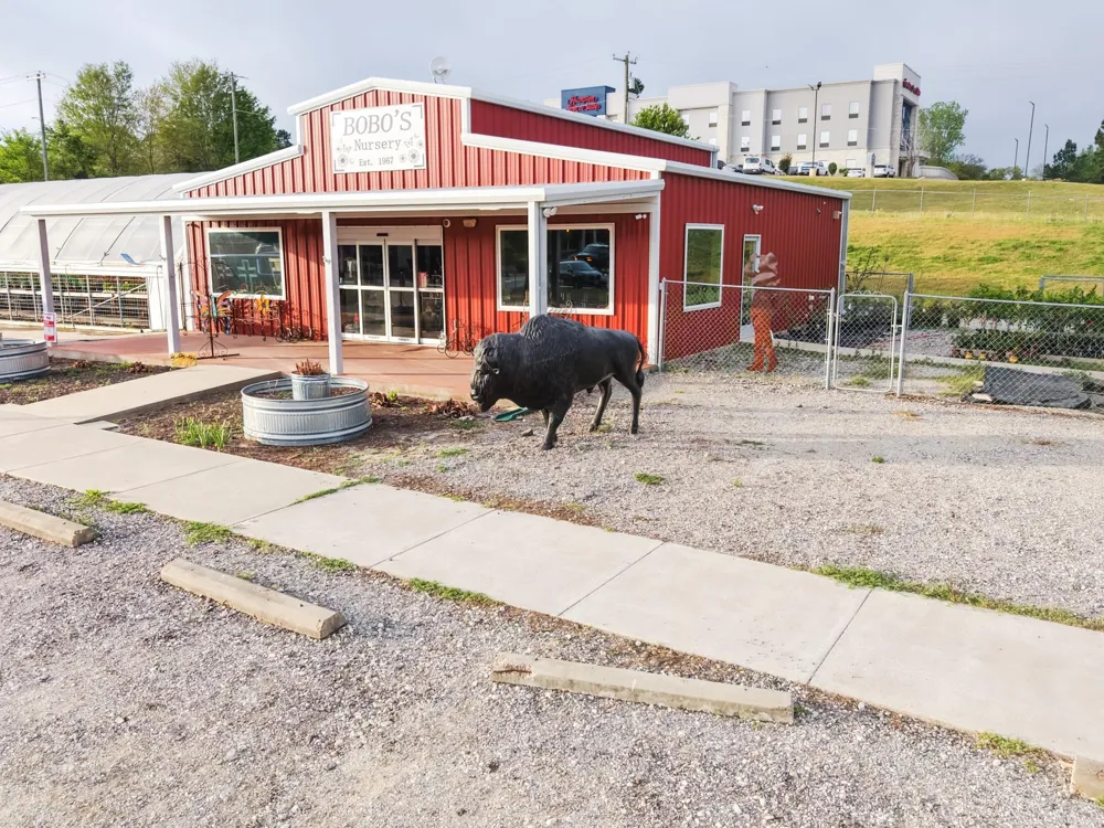 375 S Craigs Drive Buffalo, TX 75831