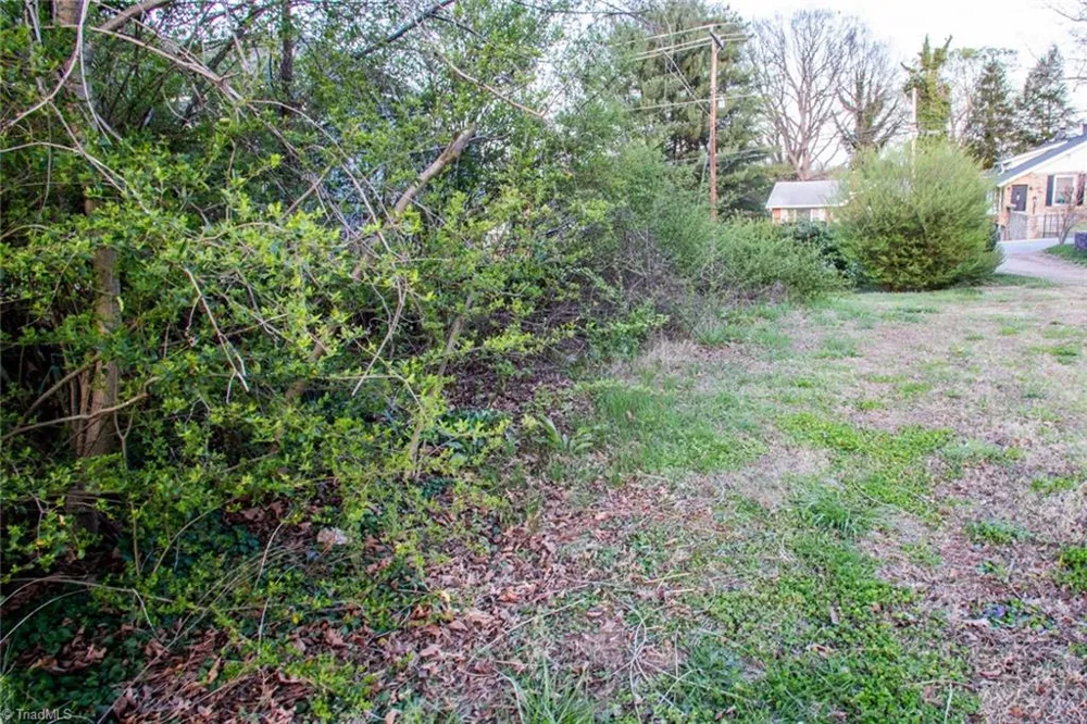 0 Cameron Avenue Winston-Salem, NC 27101