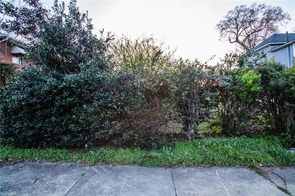 0 Cameron Avenue Winston-Salem, NC 27101
