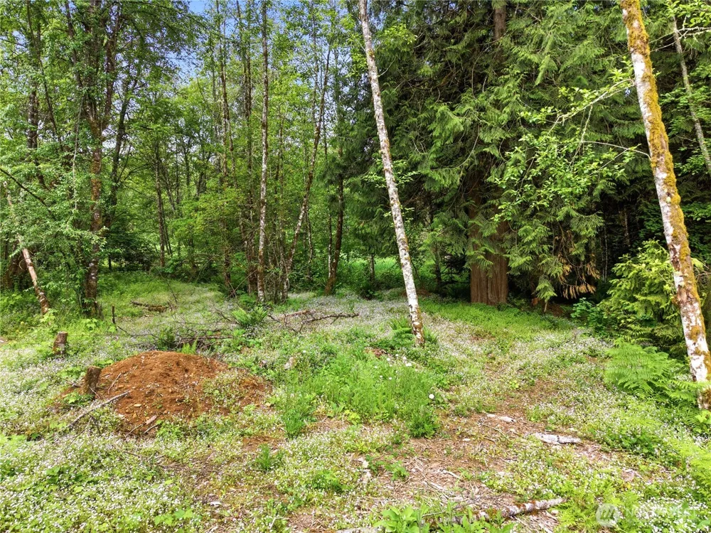 210 Vermillion Road Chehalis, WA 98532
