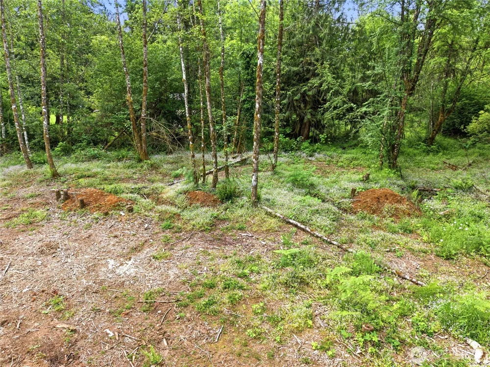210 Vermillion Road Chehalis, WA 98532