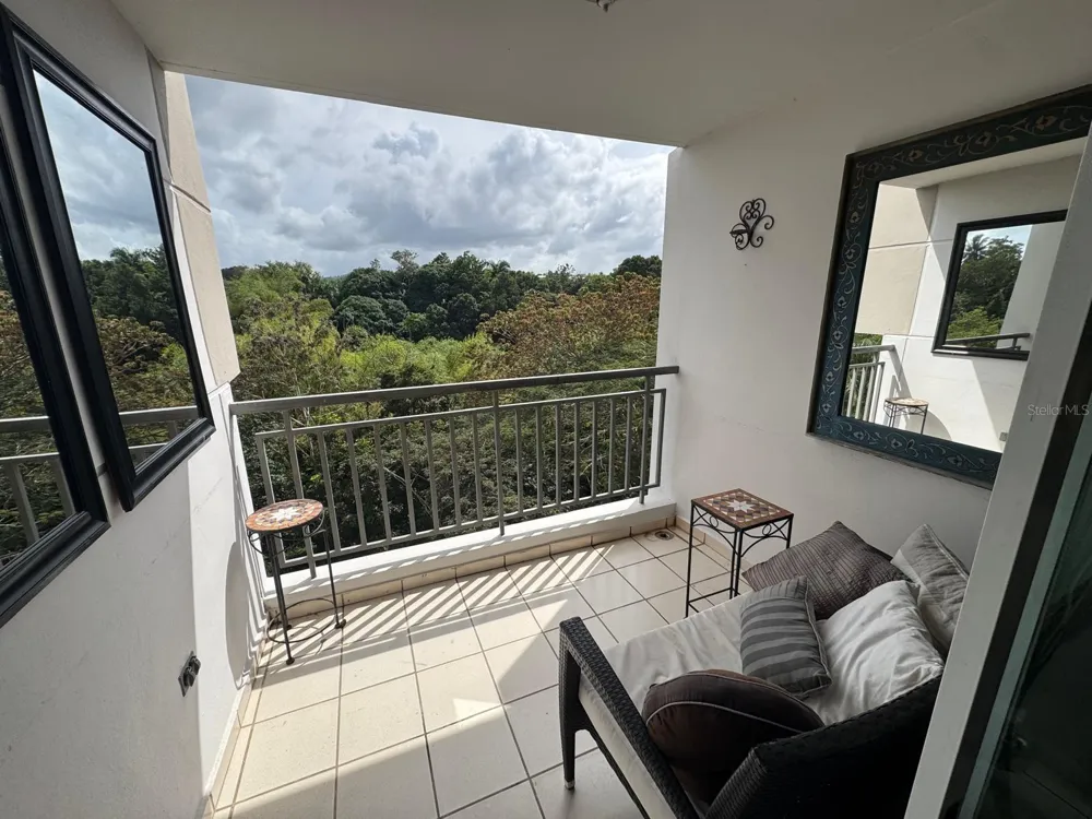 Carr. 199 PASEO DEL BOSQUE #3-507 San Juan, PR 00926