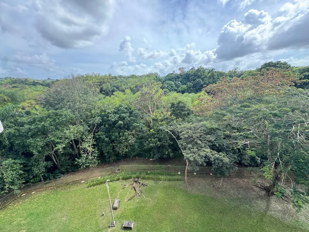 Carr. 199 PASEO DEL BOSQUE #3-507 San Juan, PR 00926