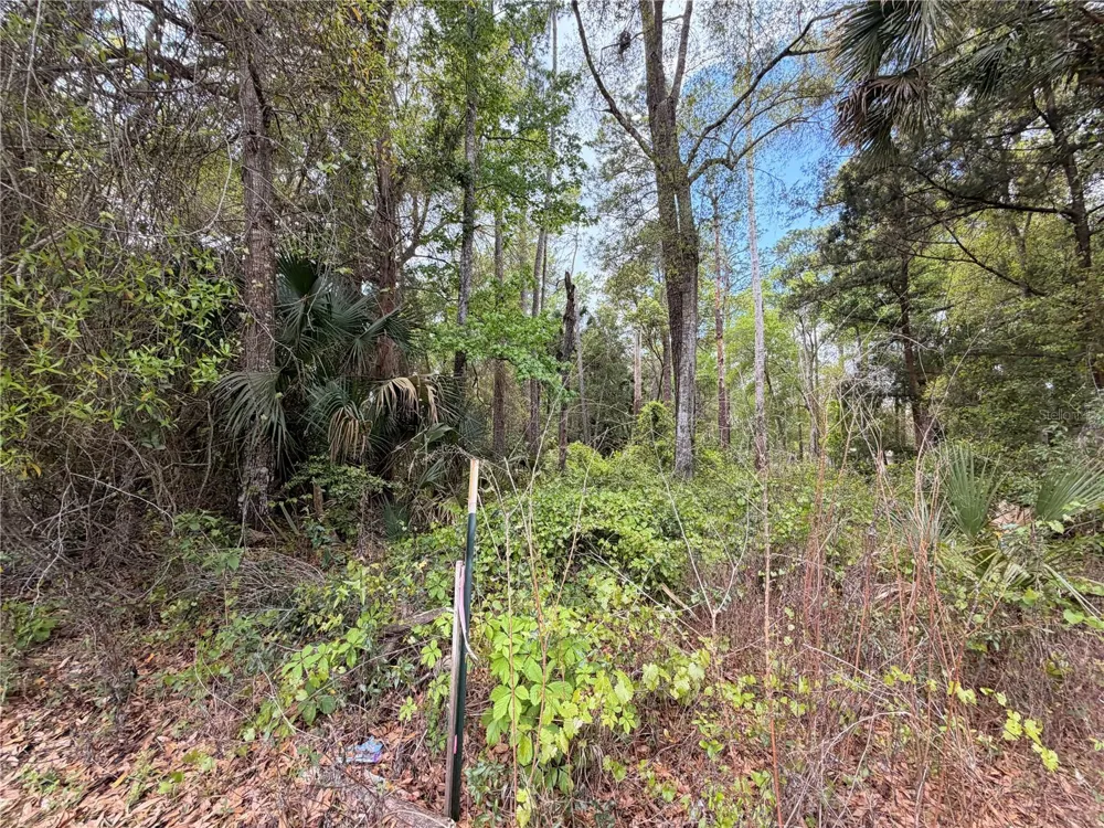 COUNTY ROAD 445A Astor, FL 32102