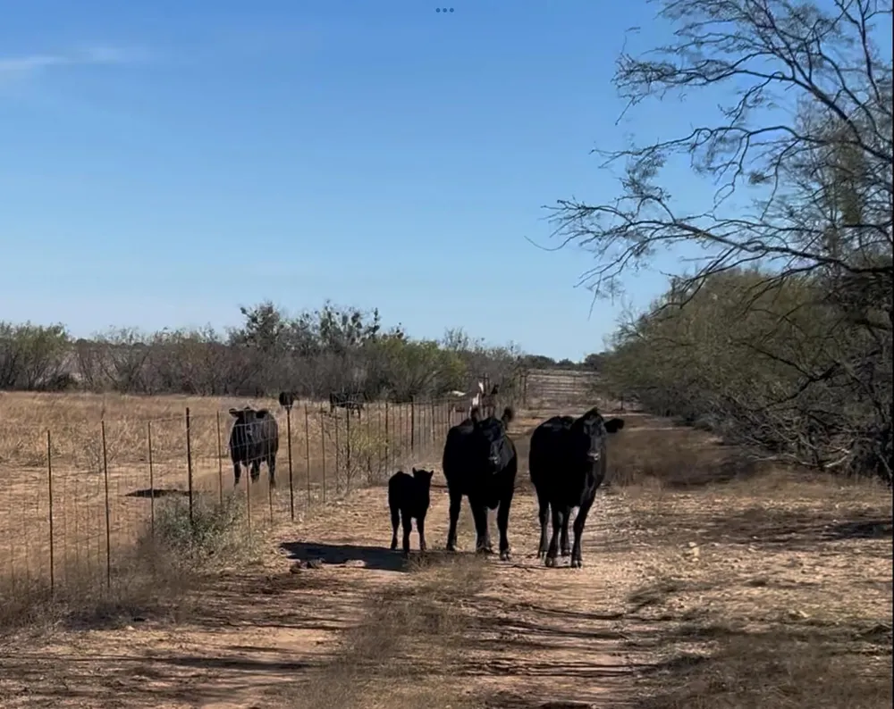 4 Us 283 Brady, TX 76825