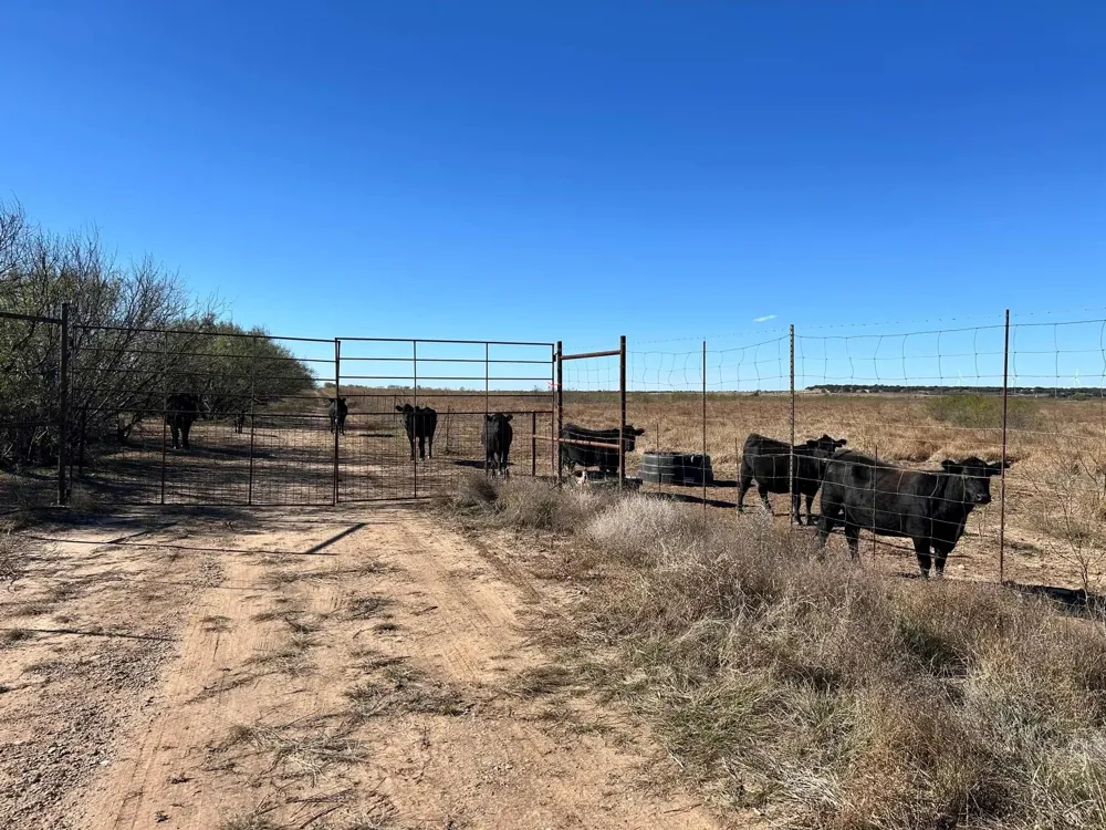 6 Us 283 Brady, TX 76825