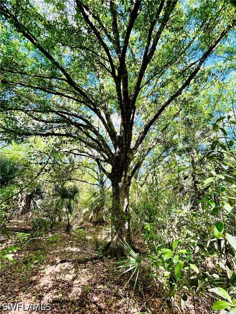 Burgundy Farms Road Estero, FL 33928