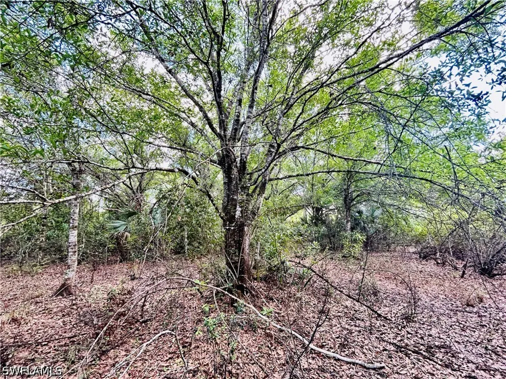 Burgundy Farms Road Estero, FL 33928
