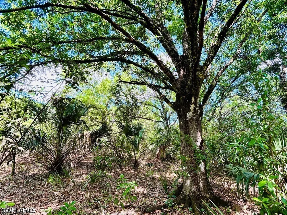 Burgundy Farms Road Estero, FL 33928