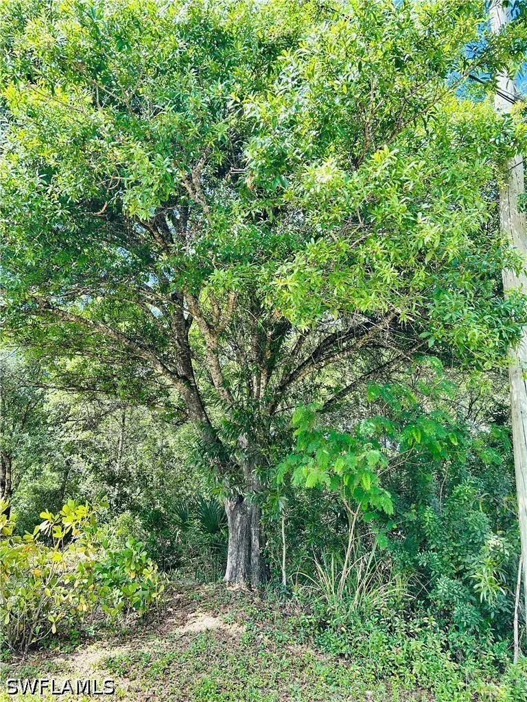 Burgundy Farms Road Estero, FL 33928