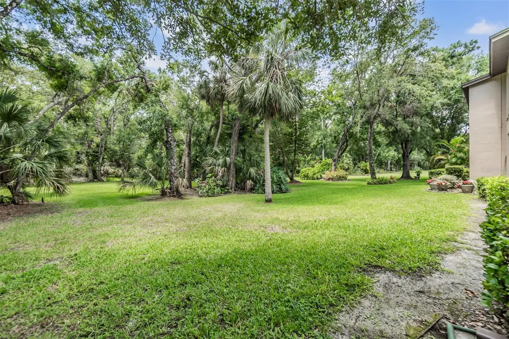 1400 TARPON WOODS BOULEVARD #E4 Palm Harbor, FL 34685