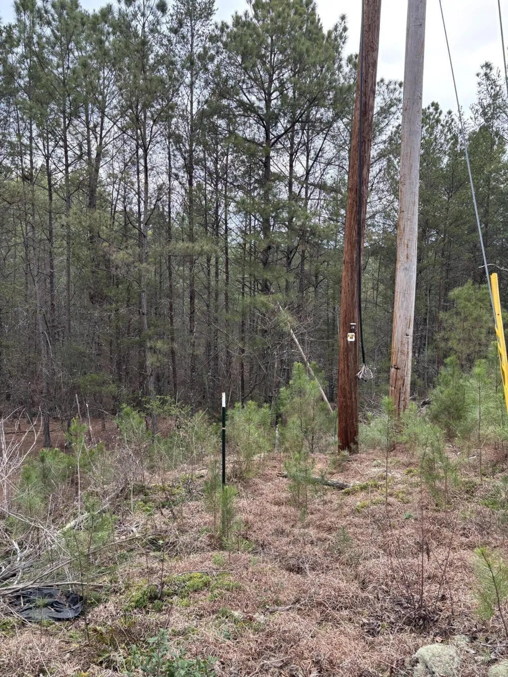 Highway 64 Ducktown, TN 37326