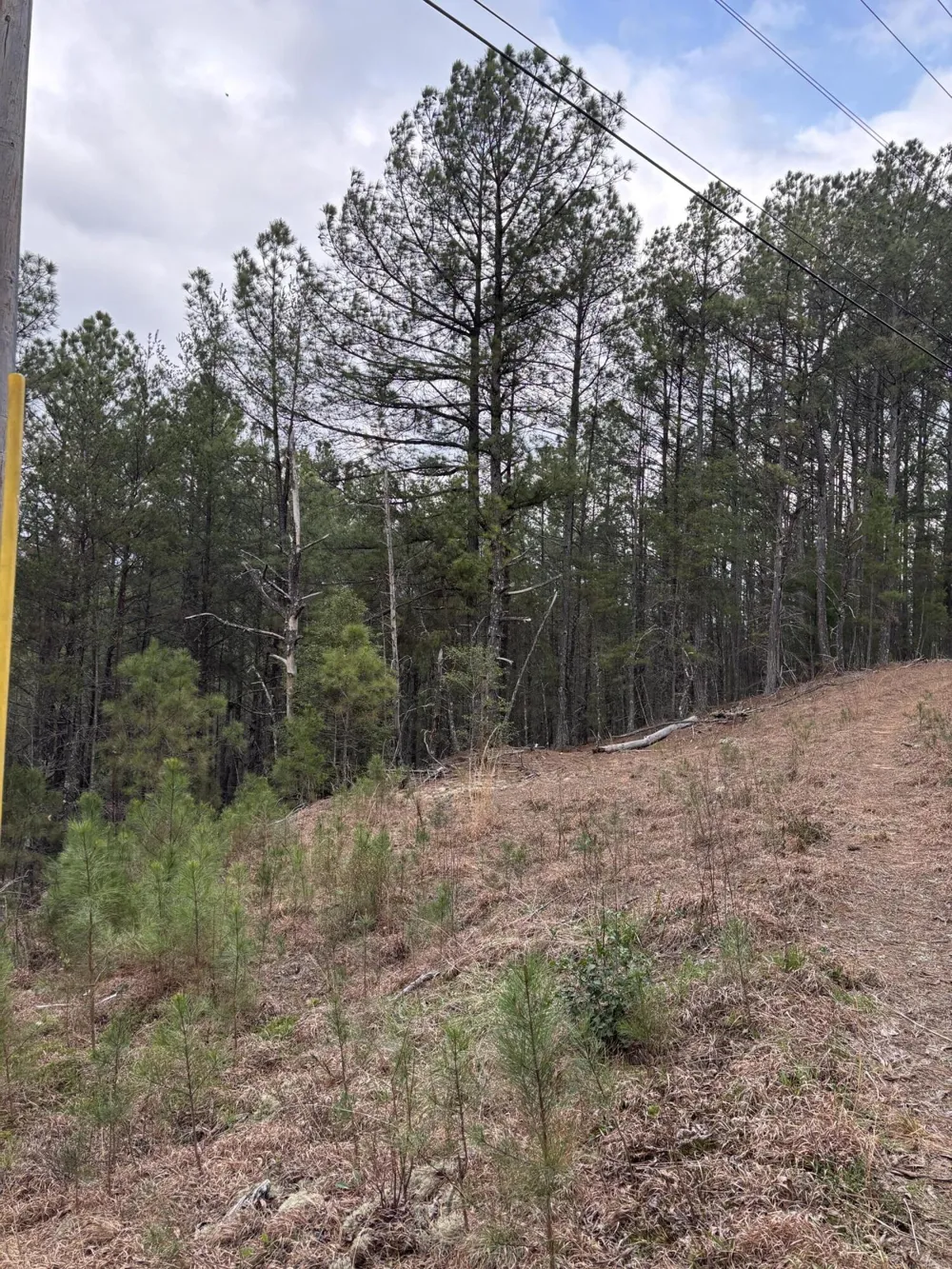 Highway 64 Ducktown, TN 37326