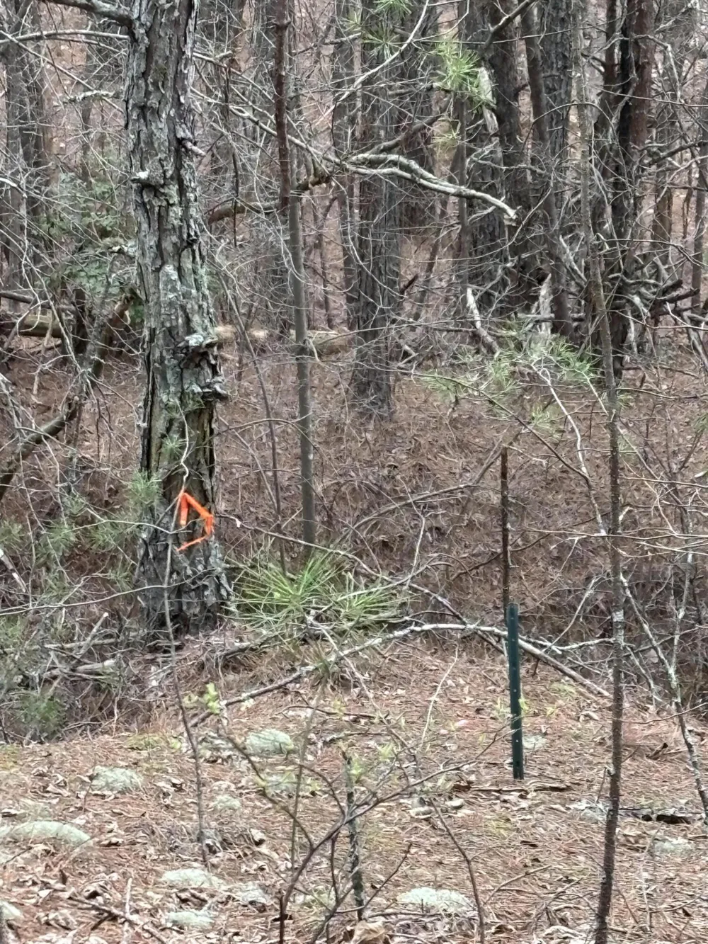 Highway 64 Ducktown, TN 37326