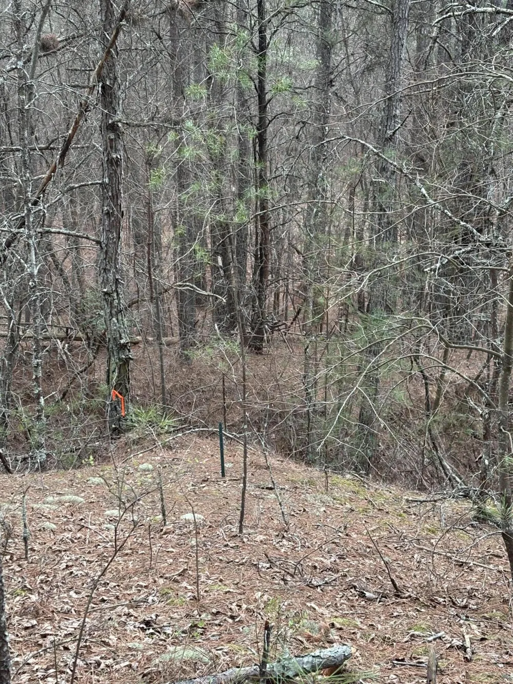 Highway 64 Ducktown, TN 37326