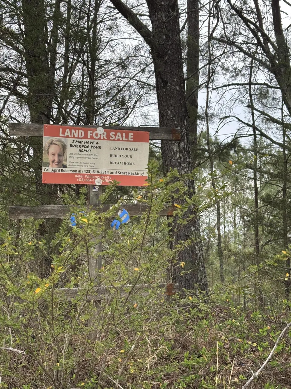 Highway 64 Ducktown, TN 37326