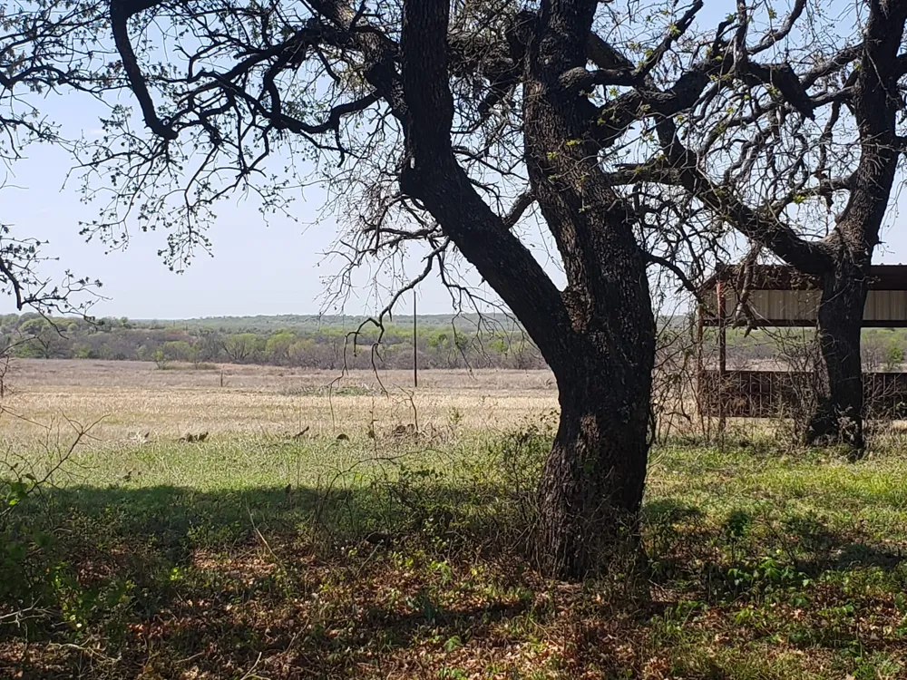 CR 1990 Chico, TX 76431