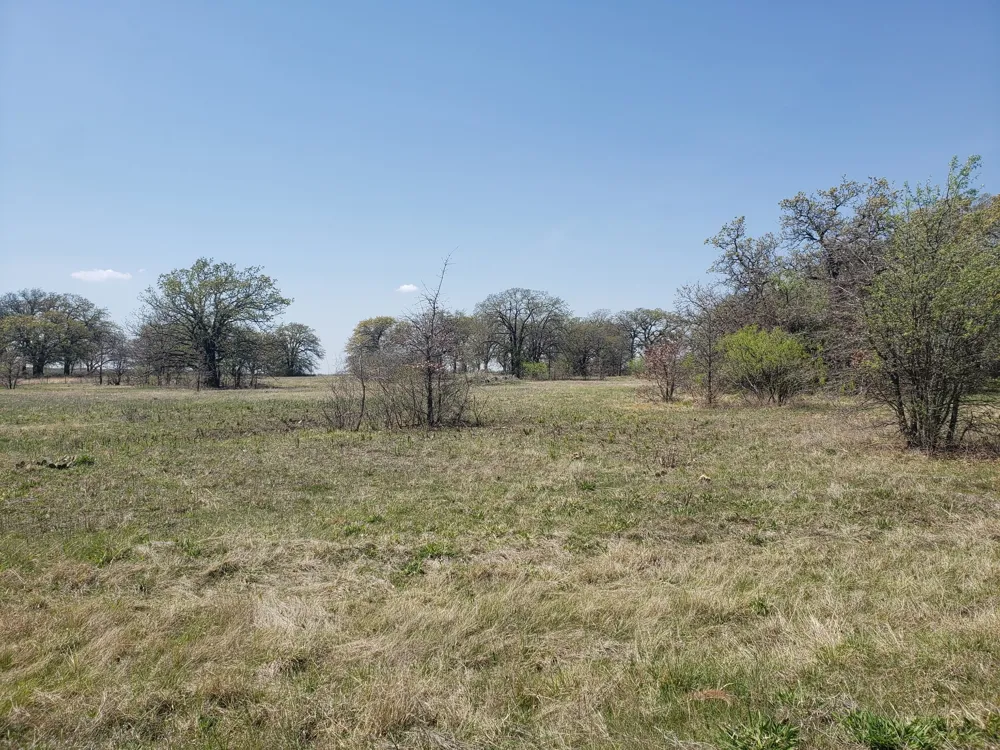 CR 1990 Chico, TX 76431