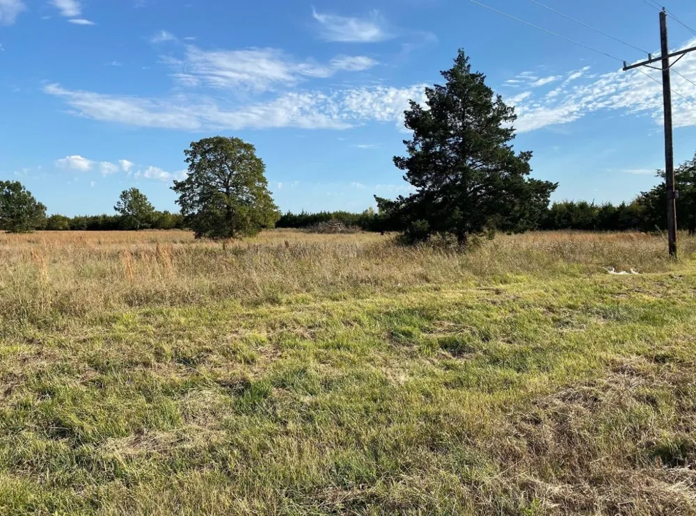 369 PRIVATE ROAD 4521 Wolfe City, TX 75496