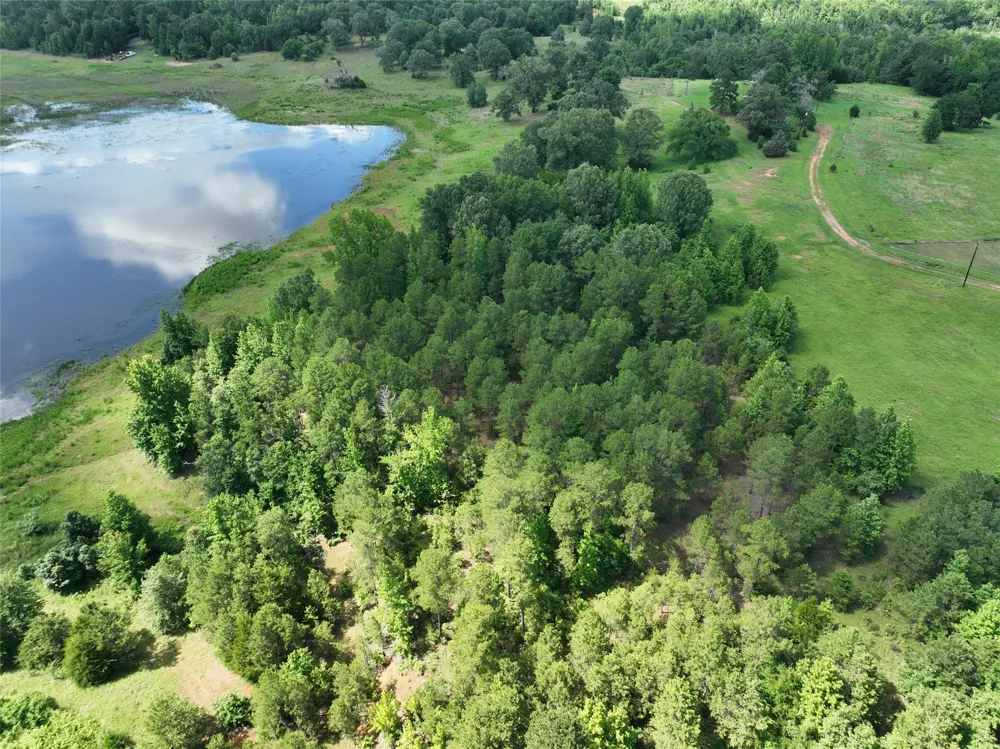 County Road 3860, Lot 76 Hawkins, TX 75765