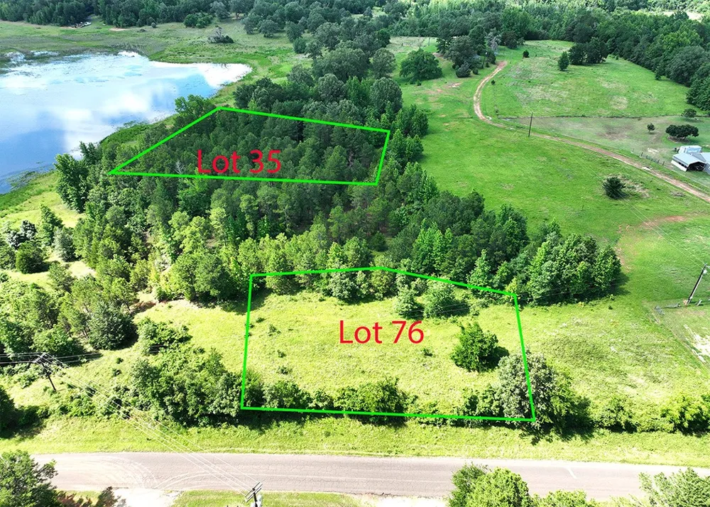 County Road 3860, Lot 76 Hawkins, TX 75765
