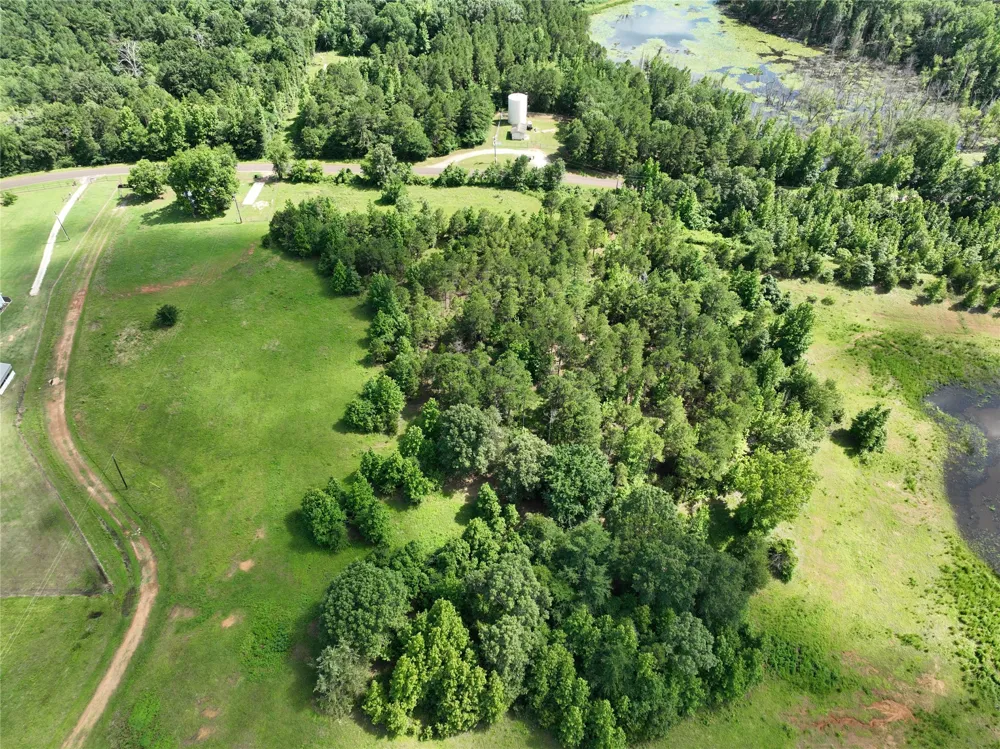 County Road 3860, Lot 76 Hawkins, TX 75765