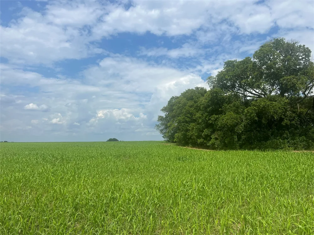 Us-82 Windom, TX 75492