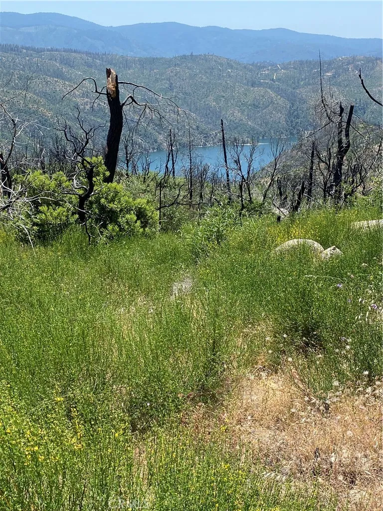 315 Harrison Springs Berry Creek, CA 95916