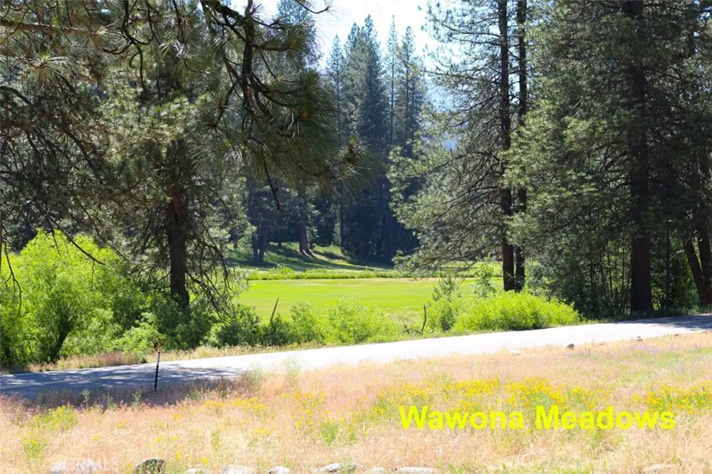 2628 W Bruce Wawona, CA 95389