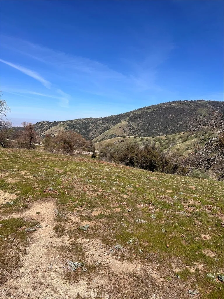 24200 Canyon Court Tehachapi, CA 93571