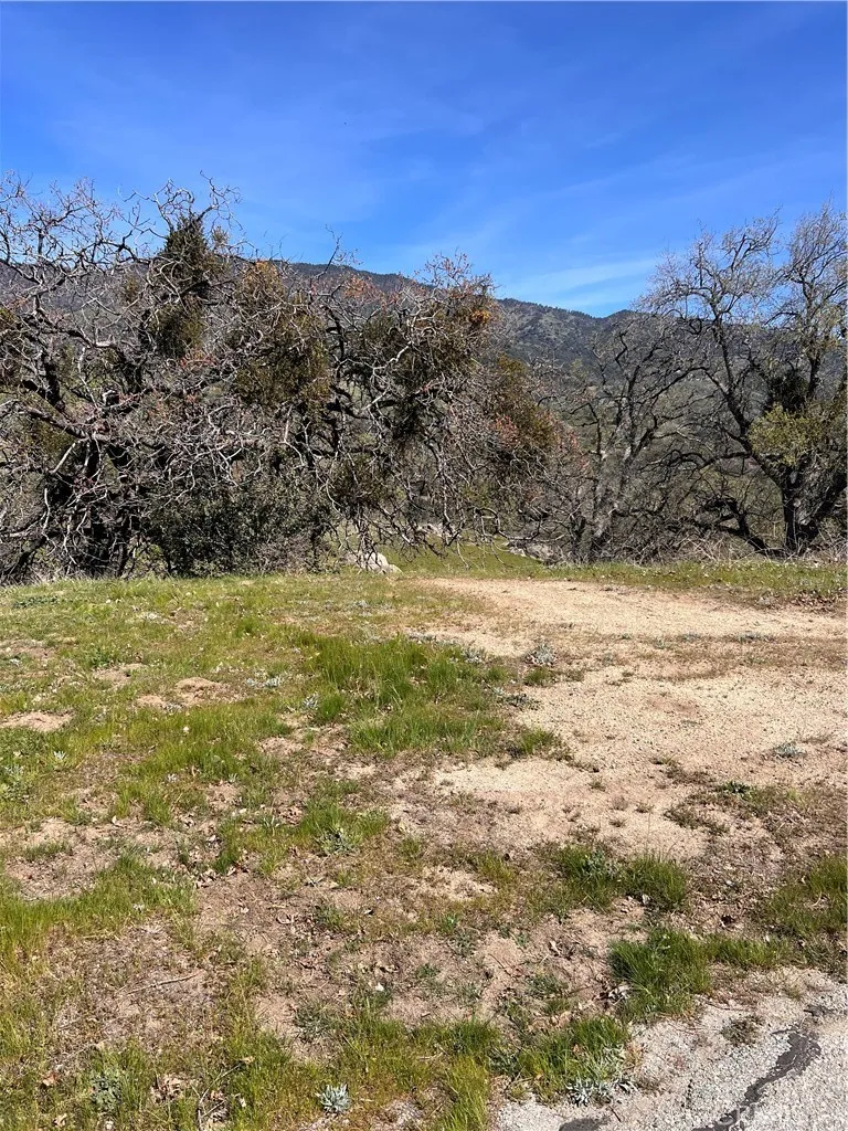 24200 Canyon Court Tehachapi, CA 93571