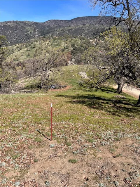24200 Canyon Court