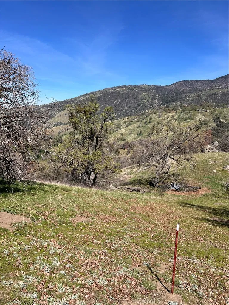 24200 Canyon Court Tehachapi, CA 93571