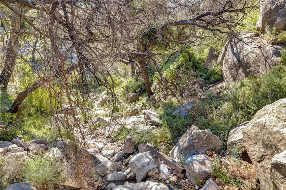 2 Decker Canyon Road Ortega Mountain, CA 92530