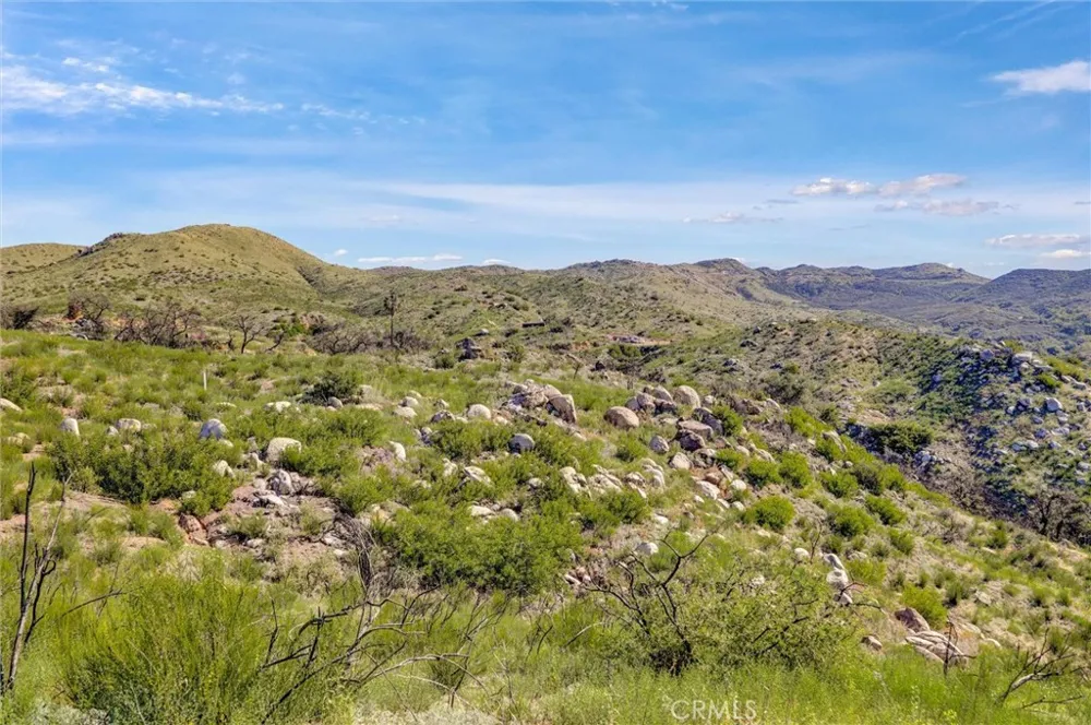 2 Decker Canyon Road Ortega Mountain, CA 92530